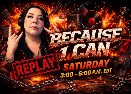 BIC Sat Replay 445x320