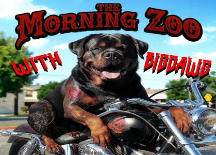 TheMorningZoo 445x320